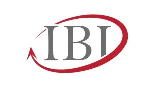 IBI - Institut za unapređenje poslovanja