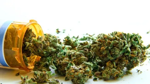 UKAS -ova studija slučaja: Phytovista Laboratories