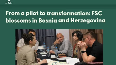 Bosna i Hercegovina postigla gotovo potpunu FSC certifikaciju šuma