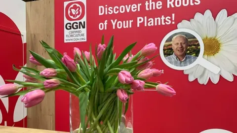Revizija GLOBALG.A.P.-ovog standarda za cveće i ukrase