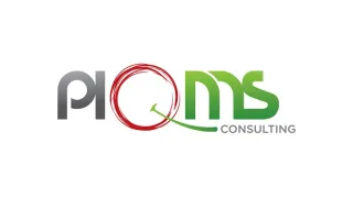 PIQMS Consulting