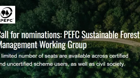 PEFC otvara nominacije za mesta u Radnoj grupi za upravljanje šumama