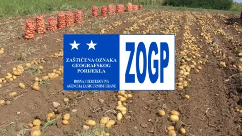Glamočki krompir zvanično postaje brend