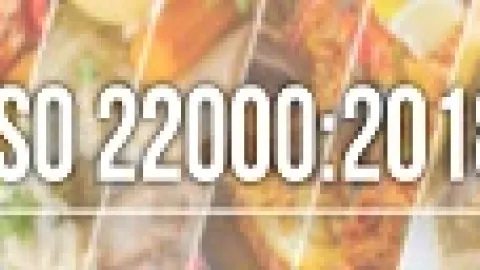 Blog: Revizija ISO 22000: Osvrt na predstojeće izmene - Tijs Vilert