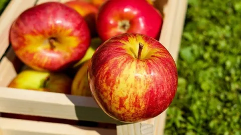 Epidemija COVID-19 i uticaj na sprovođenje audita u sektoru hrane 