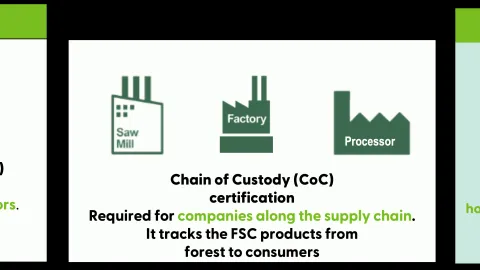 Prvi FSC CoC certifikat grupe u Bosni i Hercegovini