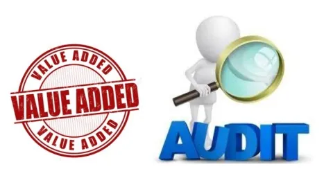 Audit sa dodatom vrednošću