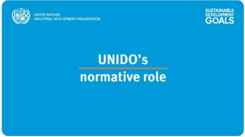 UNIDO: Šta je to normativ?