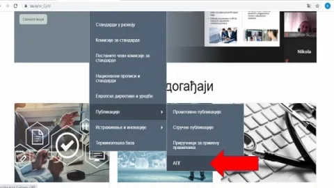 APG (Audit practice group) uputstva prevedena na srpski jezik