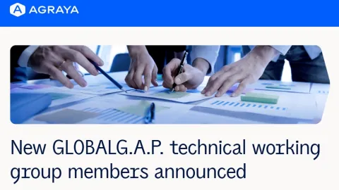 GLOBALG.A.P. zamenjuje tehničke komiteta sa pet radnih grupa i imenuje članove