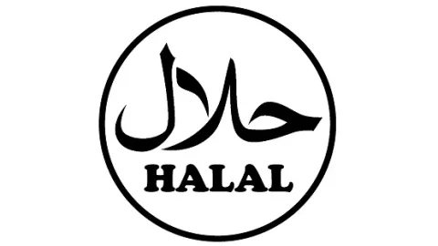 Objavljen svetski Halal standard za turizam SMIIC/OIC 9:2019