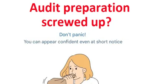 Ne paničite! Četiri načina da uspešno prođete audit bez pripreme