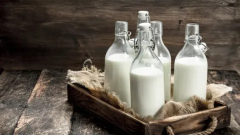 Nije se dogodilo: Laboratorija za ispitivanje mleka - ima je, a nema je
