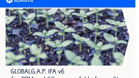 GLOBALG.AP IFA verzija 6 auditi su sada dostupni i za kombinovane useve i materijal za razmnožavanje biljaka