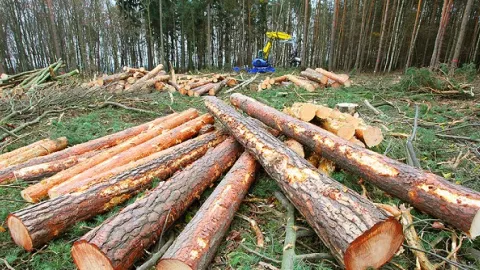 Konferencija o drvnoj industriji: Potrebne takse za izvoz drveta, izvozne kvote i standardizacija šumskih sortimenata