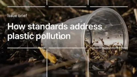 Nova publikacija: Kako standardi utiču na globalni problem zagađenja plastikom