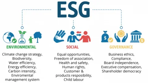 ESG standardi i njihova primjena u domaćem poslovnom sektoru