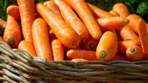 Blog: Šta zapravo treba da radi interni kontrolor u organskoj proizvodnji? - AGROmedia