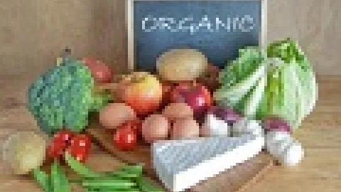 Blog: Rešavanje problema prevara u prehrambenoj industriji na evropskom organskom tržištu