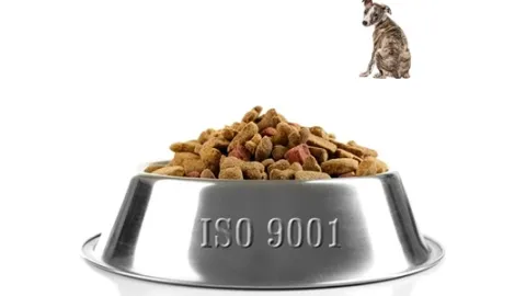 Šta ako je TC 176 usklađen sa ISO 9001? - Kristofer Paris