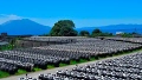 Tradicionalni metod proizvodnje star 200 godina u skladu je sa FSMA - Sakamoto Kurozu