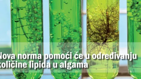 Nova norma za određivanje količine lipida u algama