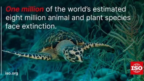 Kako međunarodni standardi utiču na donošenje klimatskih akcija