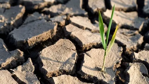 Kako bi ISO 9001 mogao da zaustavi klimatske promene