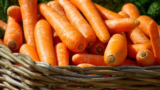 Blog: Šta zapravo treba da radi interni kontrolor u organskoj proizvodnji? - AGROmedia