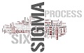 Blog: 10 faktora uspešnog uvođenja Six Sigma - Oliver Šnajder