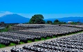 Tradicionalni metod proizvodnje star 200 godina u skladu je sa FSMA - Sakamoto Kurozu
