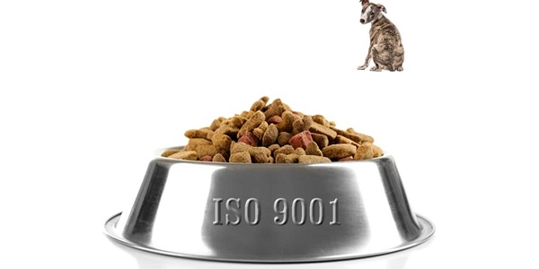 Šta ako je TC 176 usklađen sa ISO 9001? - Kristofer Paris