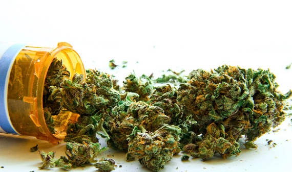 UKAS -ova studija slučaja: Phytovista Laboratories