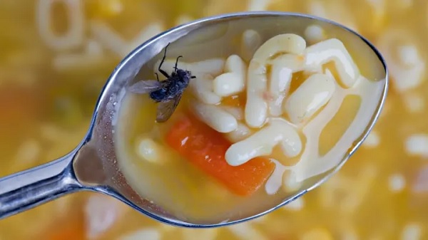 Upravljanje stranim materijalima - AS Consulting