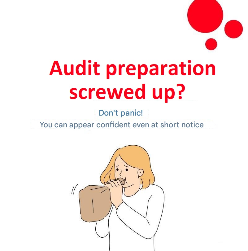 Ne paničite! Četiri načina da uspešno prođete audit bez pripreme